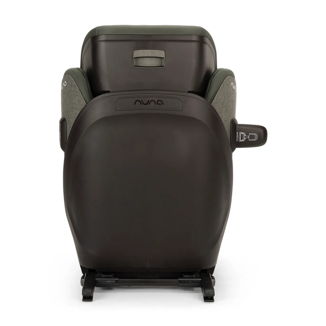 AACE LX Forest