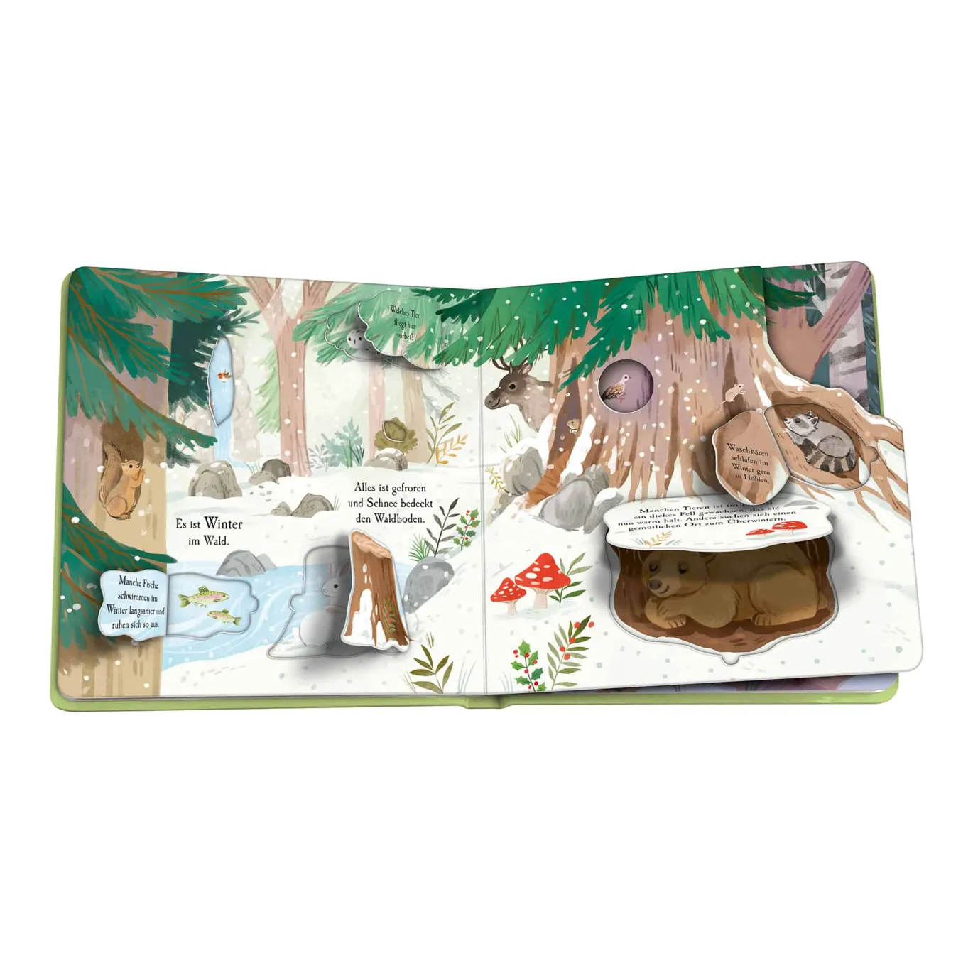 Auf Entdeckungstour: Im Wald