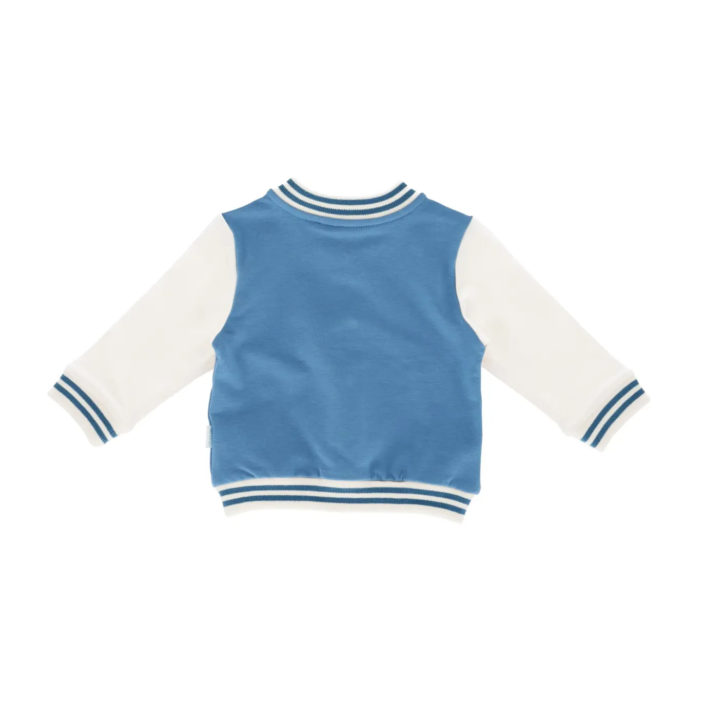 Baseball-Jacke Dino
