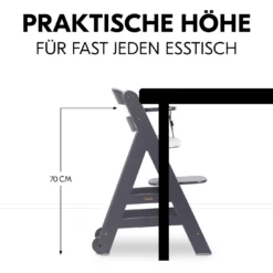 Beta+ Dark Grey mit Sitzauflage