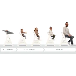 Beta+ White mit Sitzauflage Anthrazit