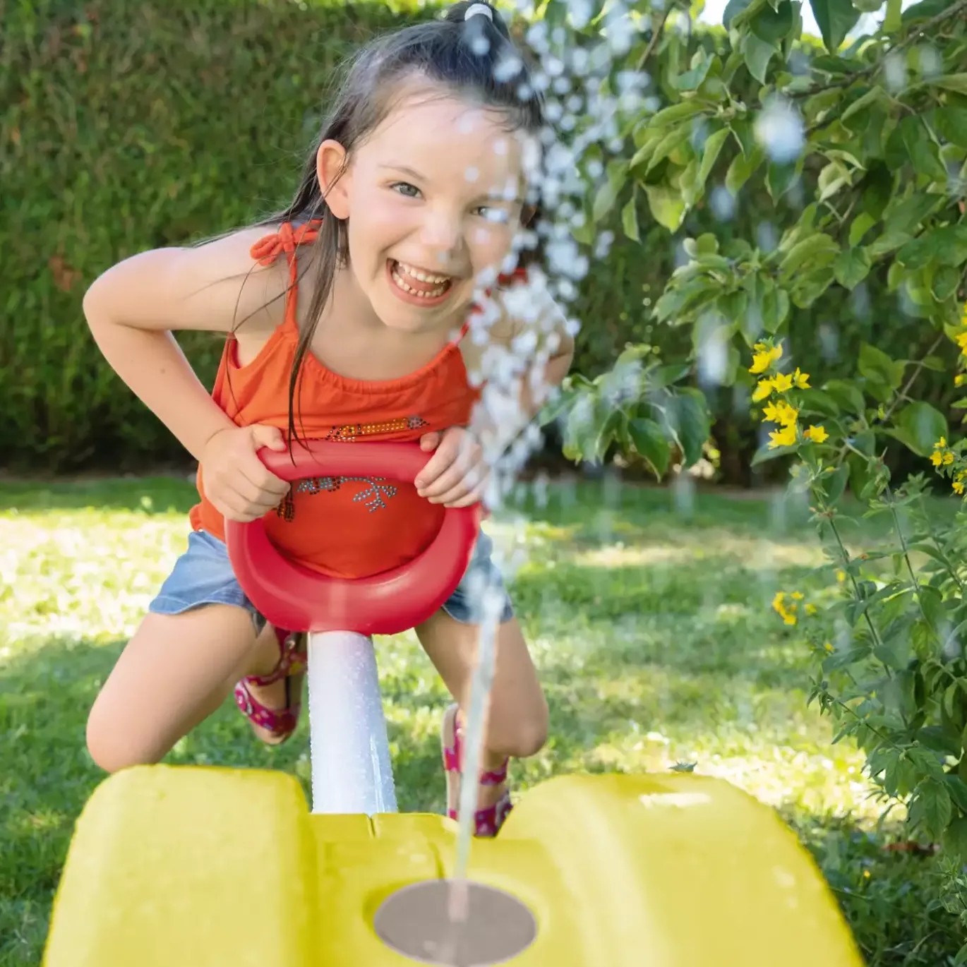 BIG Wasserwippe