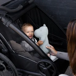 Chariot Sport 2 Double Black