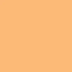 Farbenfreunde Fuchsorange Nr. 04