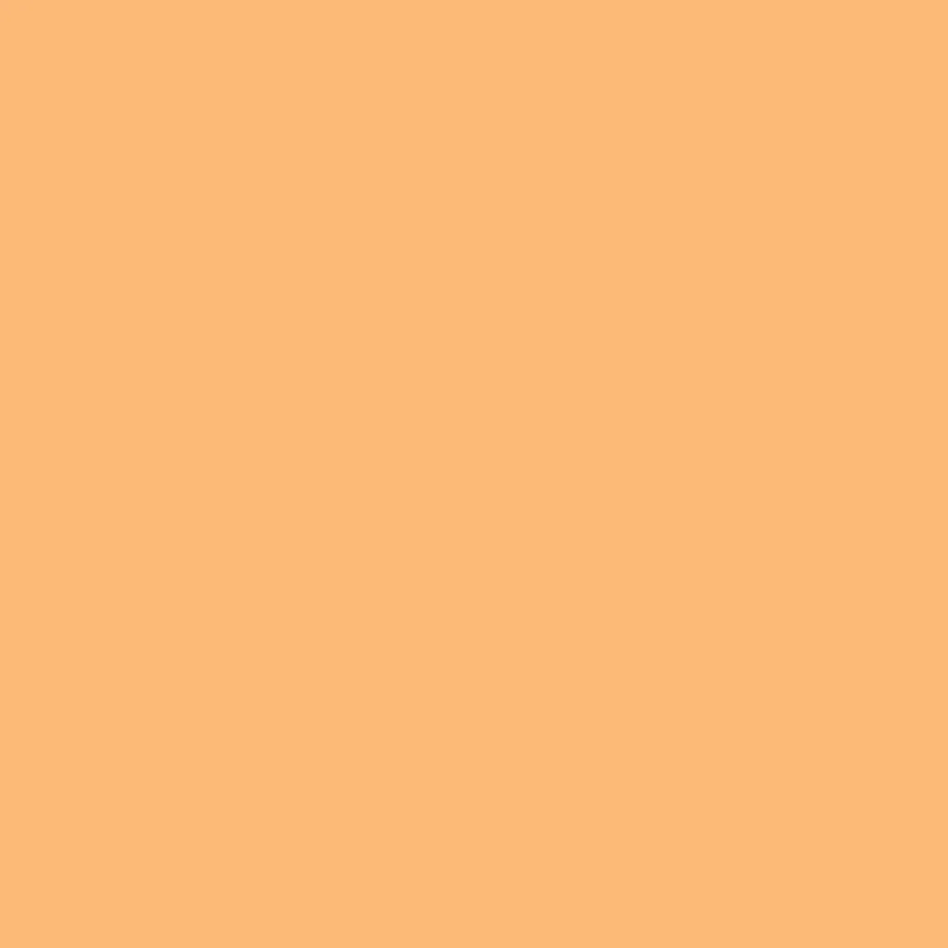 Farbenfreunde Fuchsorange Nr. 04