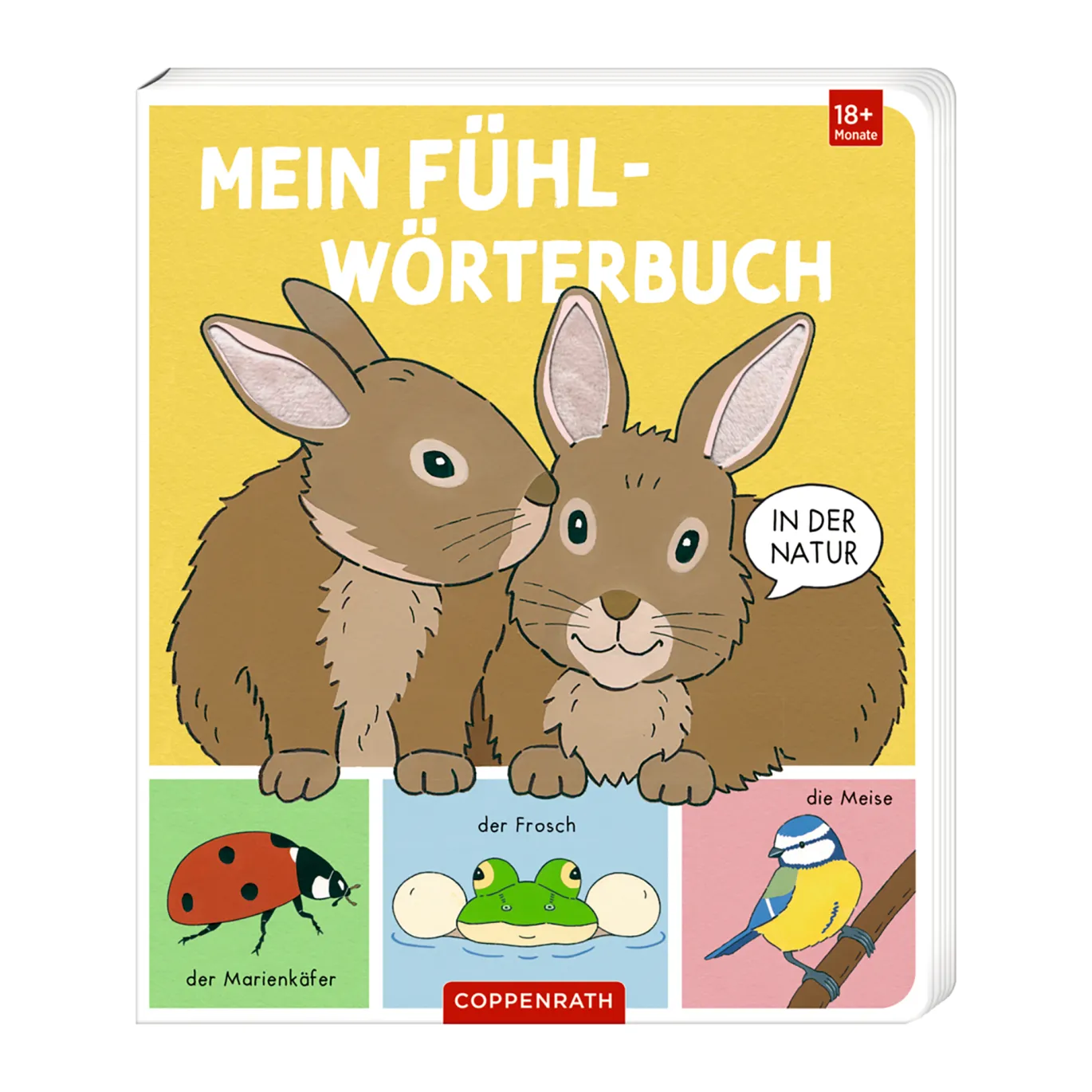 Fühlbuch Mein Fühl-Wörterbuch: In der Natur