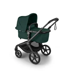 Fox5 Renew Complete Ferngreen