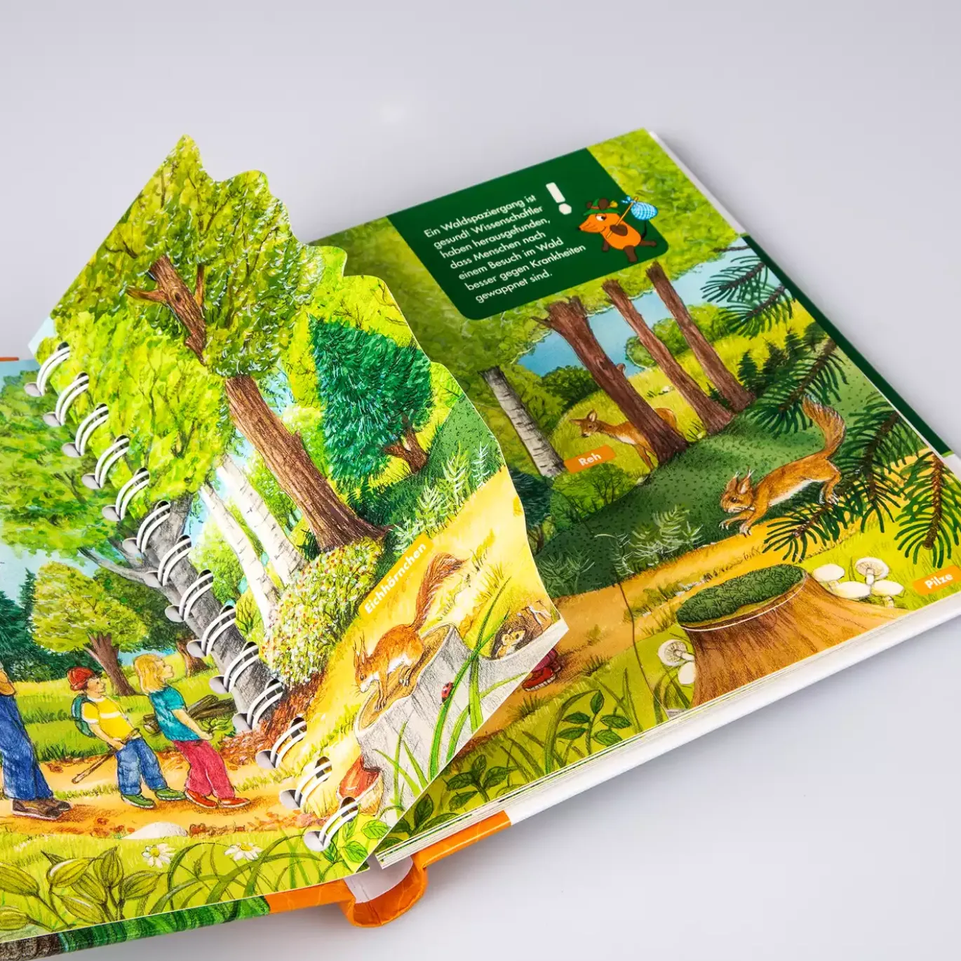 Frag doch mal...die Maus!: Im Wald