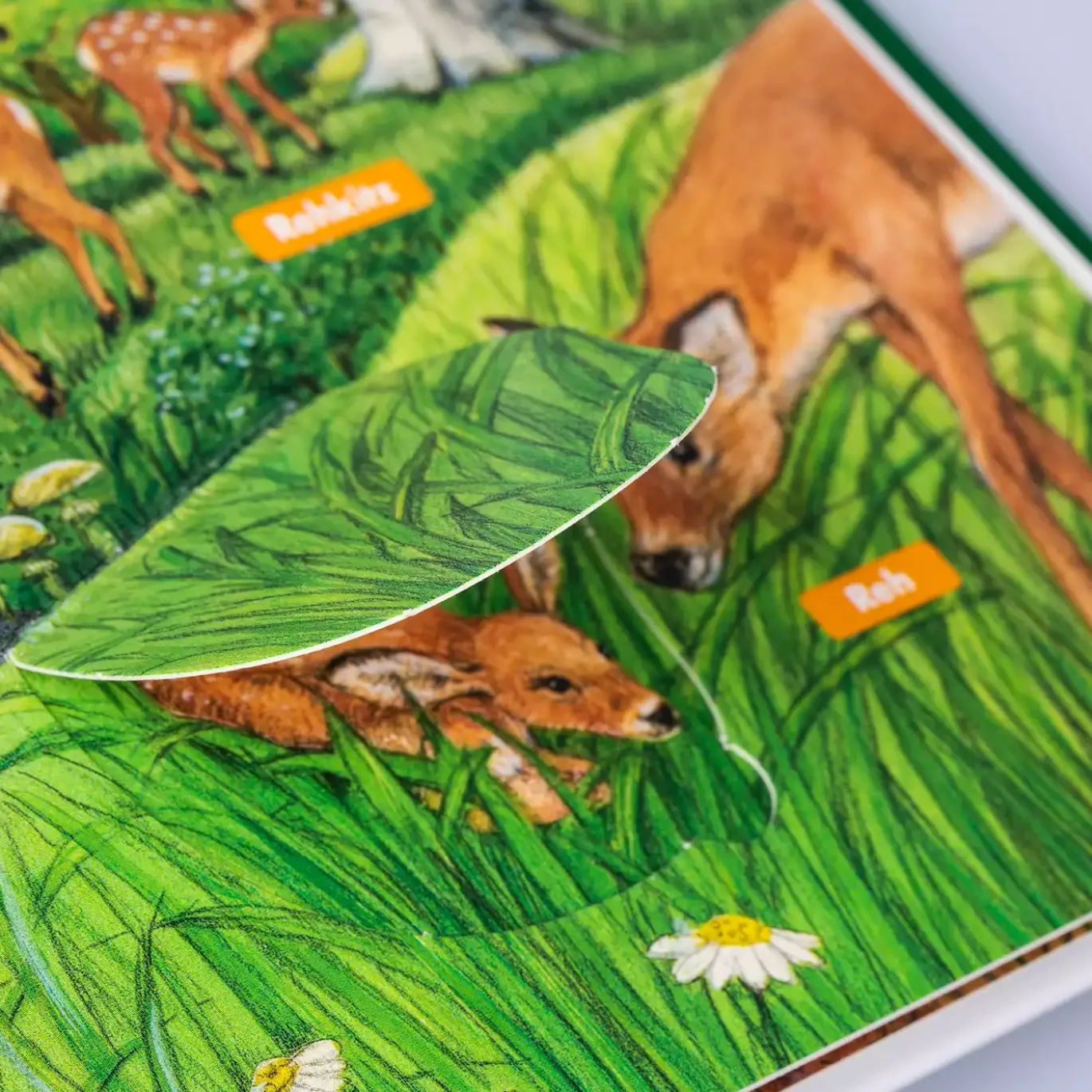 Frag doch mal...die Maus!: Im Wald