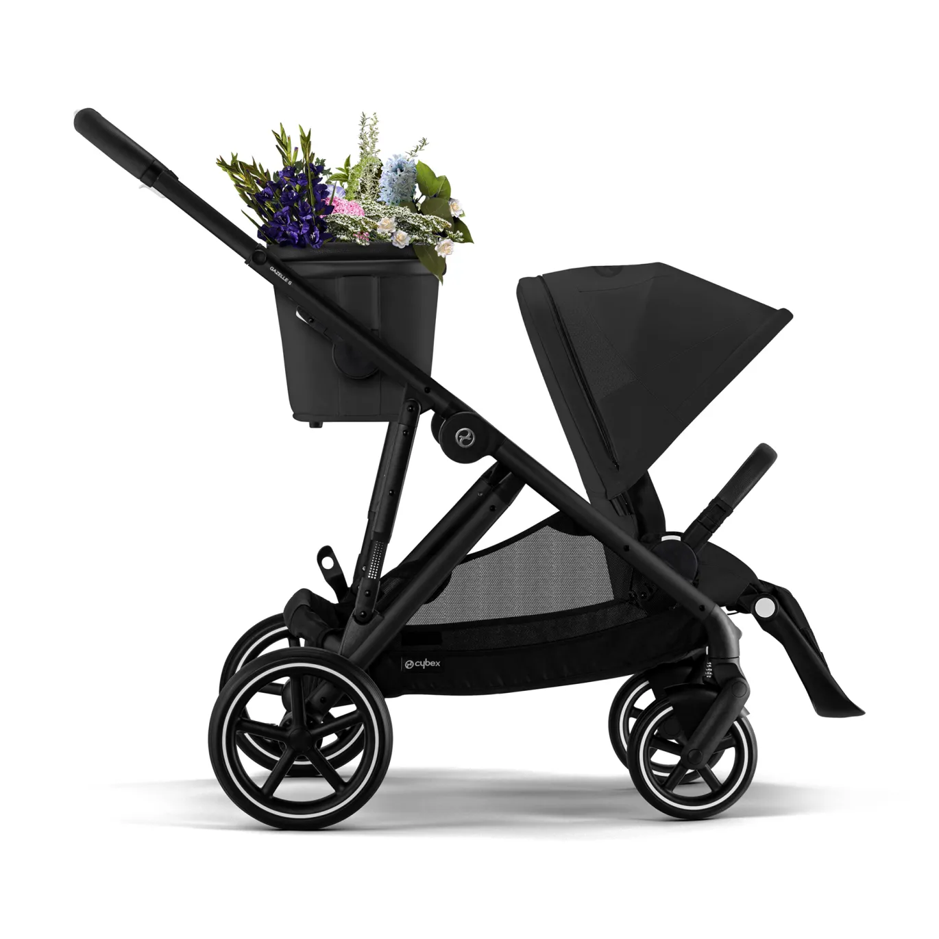 Gazelle S Moon Black (Black Frame)