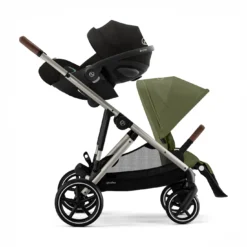 Gazelle S Moss Green