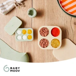 Gefrierbehälter für Babybrei & Fruchtsauger