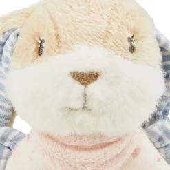 Greifling Hase Hanni