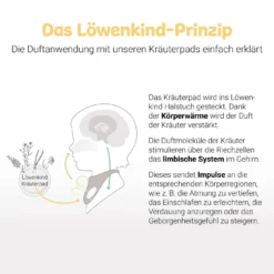 Halstuch Einsteigerbox