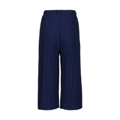 Hose Plissee