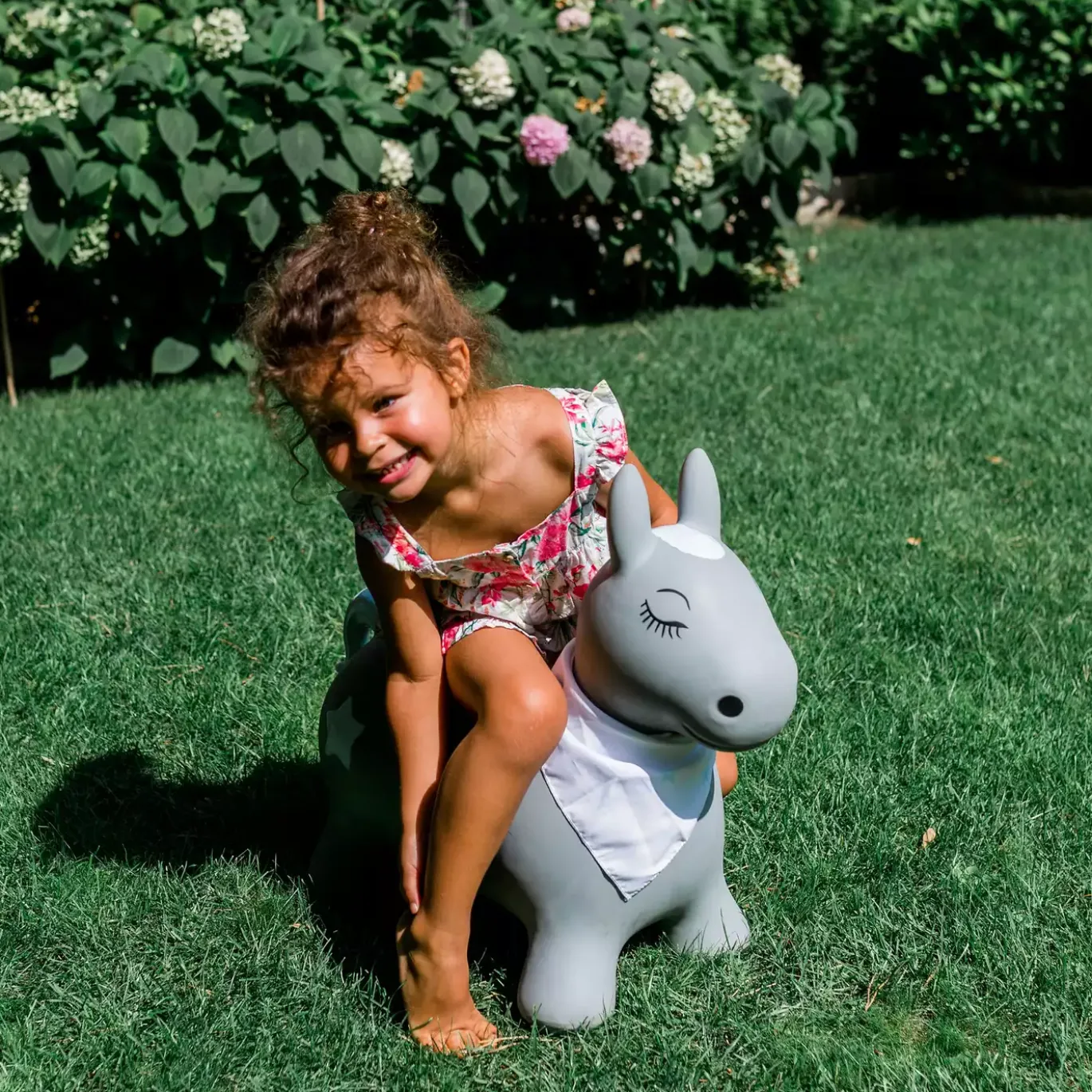 Hüpftier Pony