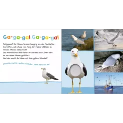 Hör mal rein am Meer