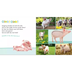 Hör mal rein, wer kann das sein? Bauernhoftiere