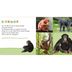 Hör mal rein, wer kann das sein? Zootiere