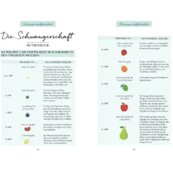 Ich werde Mama! Der perfekte Schwangerschaftsbegleiter