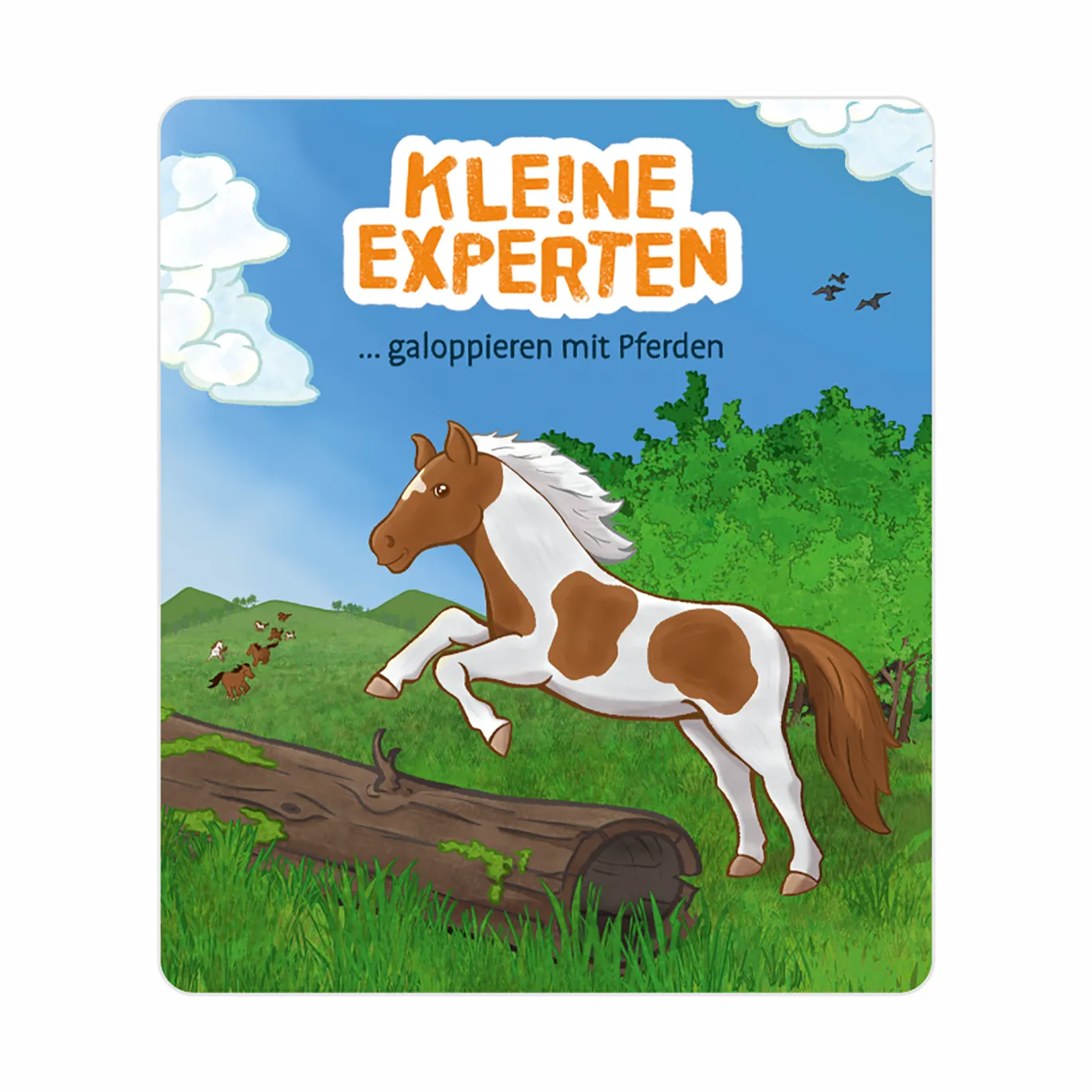 KLE!NE EXPERTEN galoppieren mit Pferden