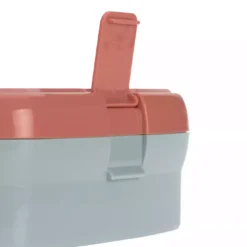 Lunch Set About Friends Fox