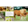Meine liebsten Tiere auf dem Bauernhof