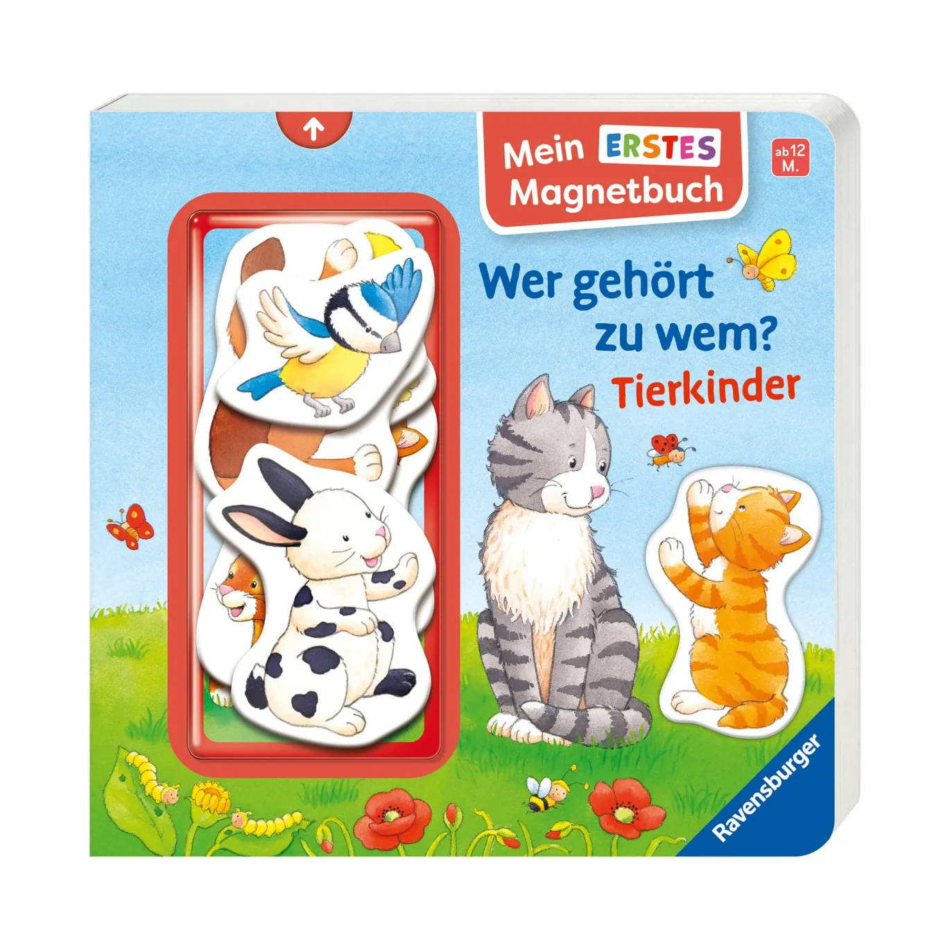 Mein erstes Magnetbuch – Was gehört wohin? Tierkinder
