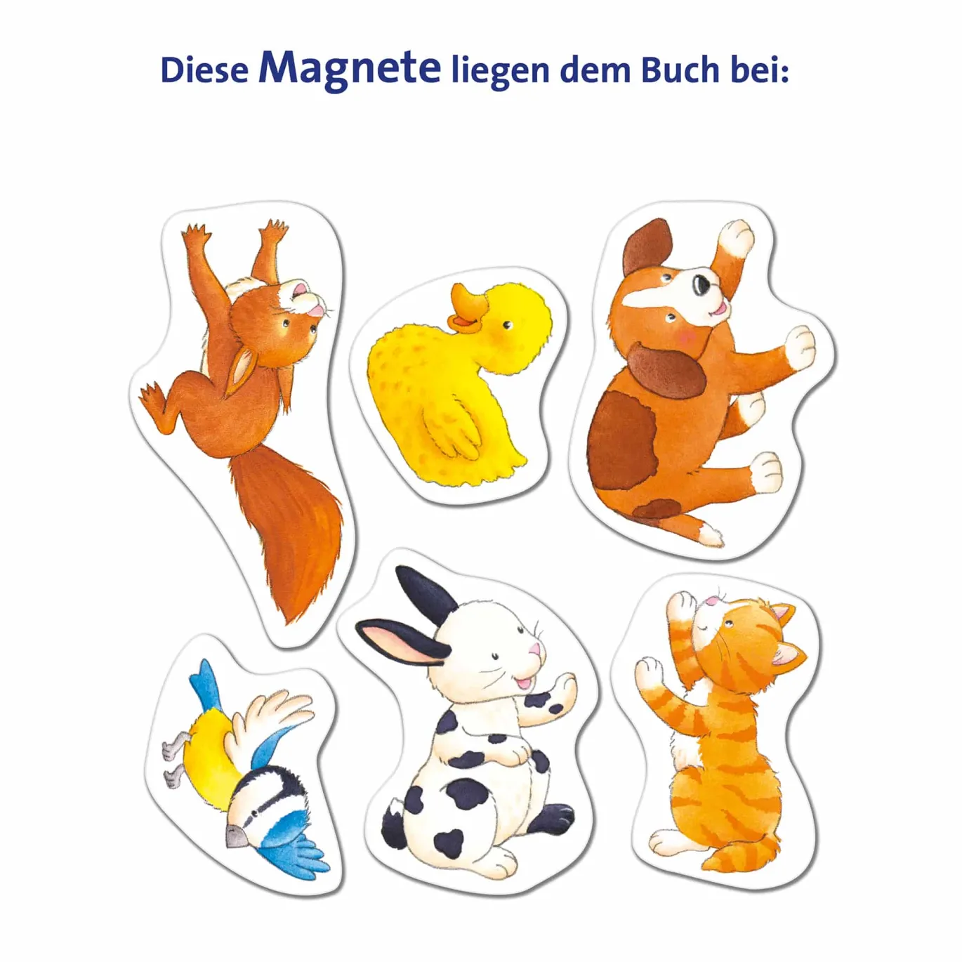 Mein erstes Magnetbuch – Was gehört wohin? Tierkinder