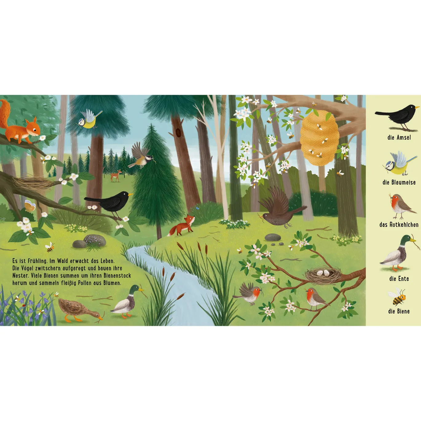 Mein erstes Natur-Wimmelbuch: Tiere im Wald