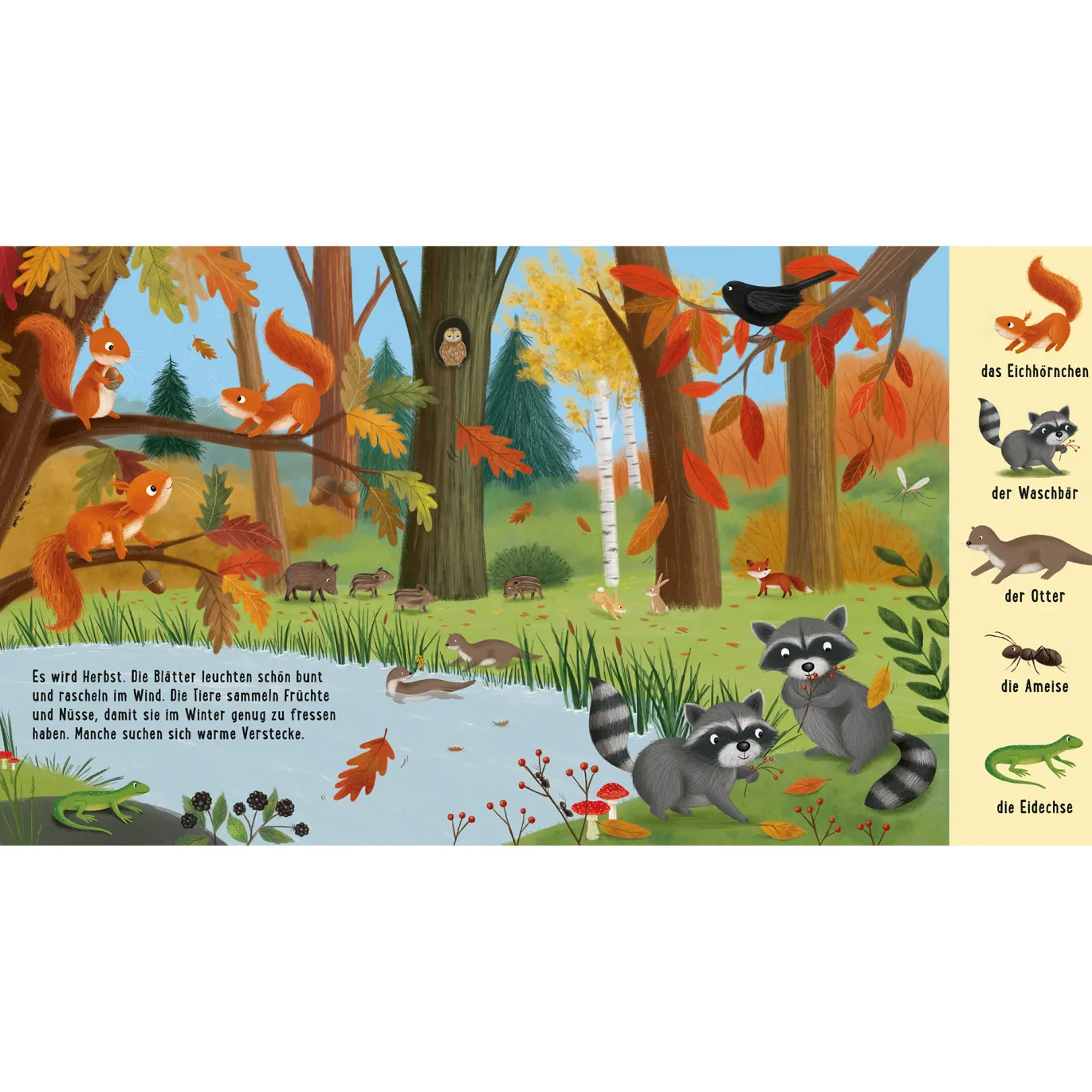Mein erstes Natur-Wimmelbuch: Tiere im Wald