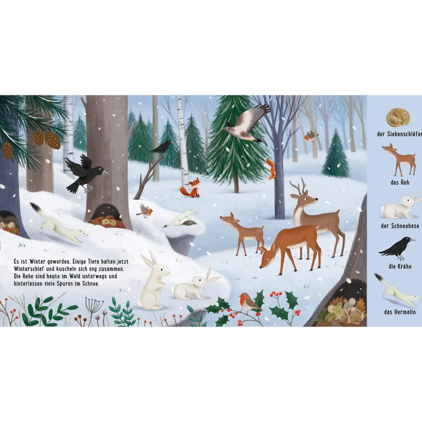 Mein erstes Natur-Wimmelbuch: Tiere im Wald