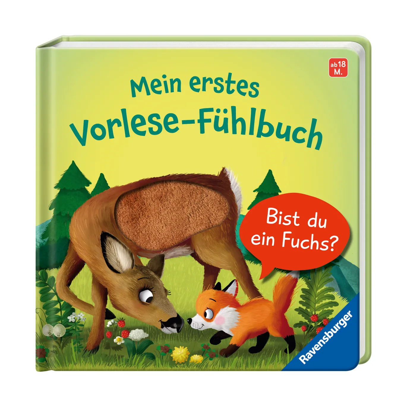 Mein erstes Vorlese-Fühlbuch: Bist du ein Fuchs?