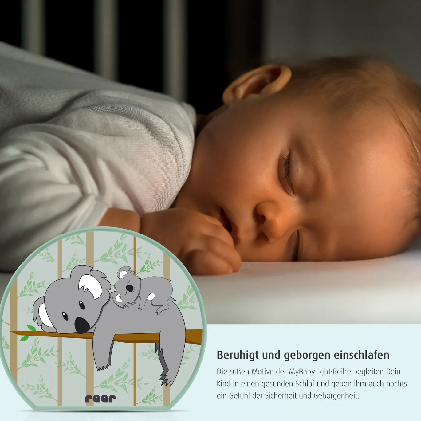 MyBabyLight Koala
