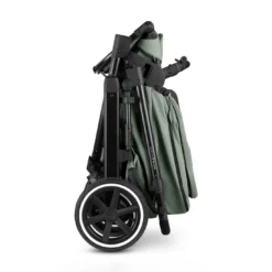 Salsa 5 Air Pine