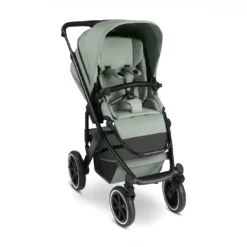Salsa 5 Air Pine