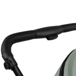 Salsa 5 Air Pine