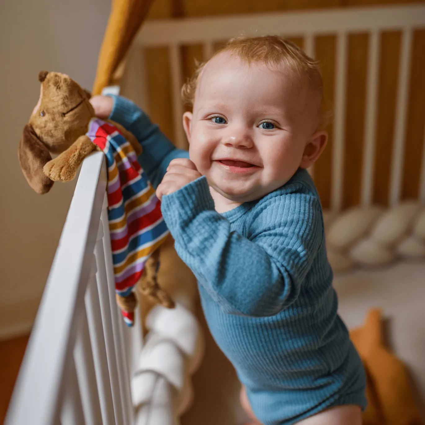 Schnuffeltuch Dackel
