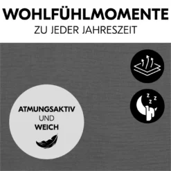 Schonbezug