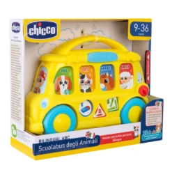 School Bus