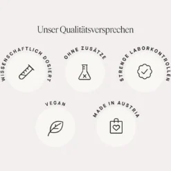 Set Daily Essential plus Schwangerschaft Boost