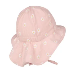 Sonnenhut Gänseblümchen