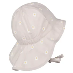 Sonnenhut Gänseblümchen