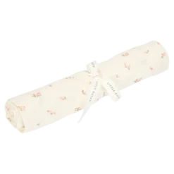 Swaddle Fairy Garden