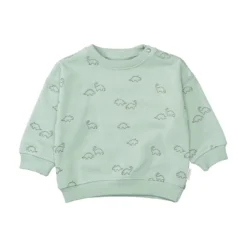 Sweatshirt Dino