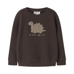 Sweatshirt Dino