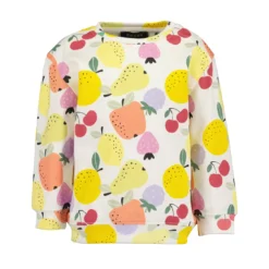 Sweatshirt Fruits