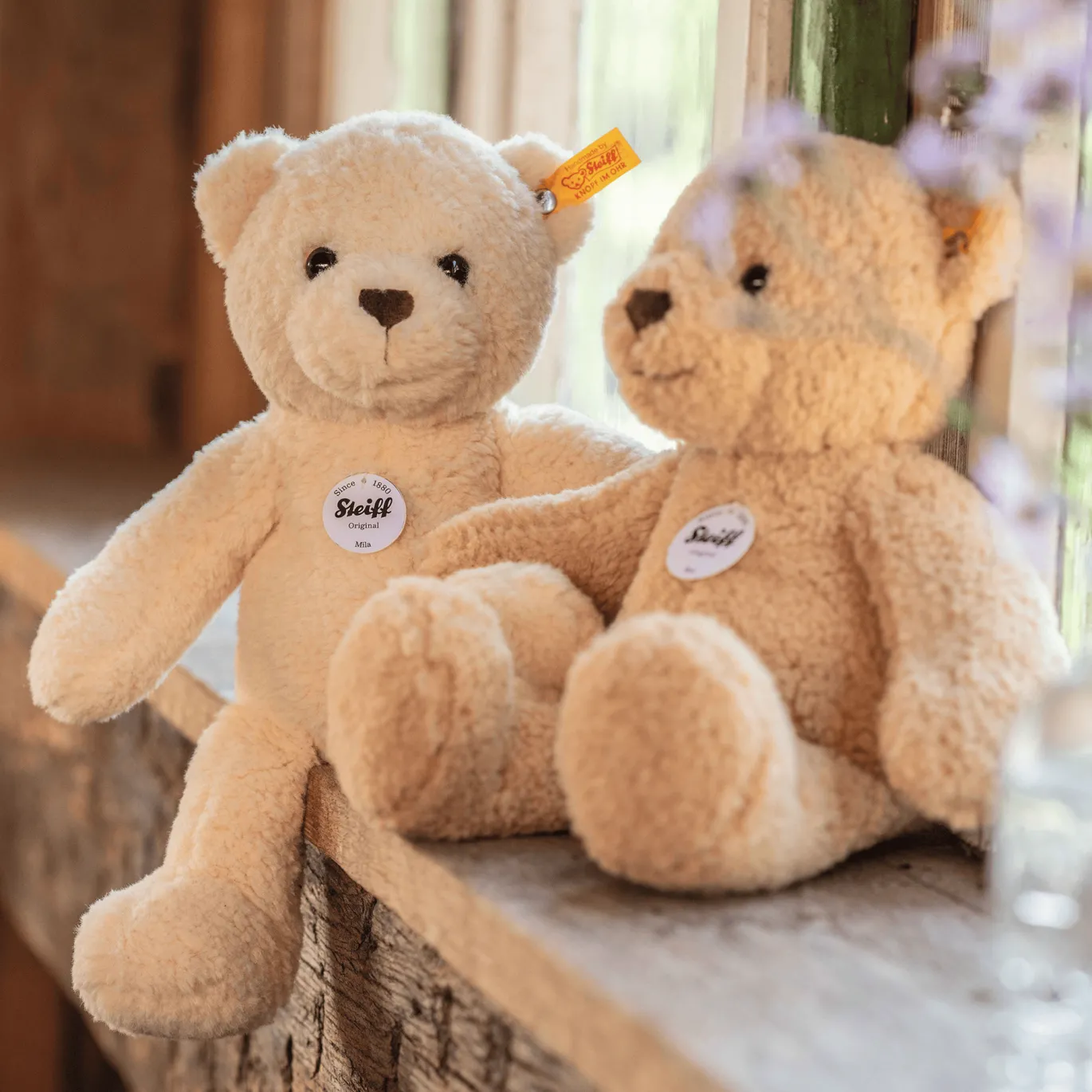 Teddybär Ben
