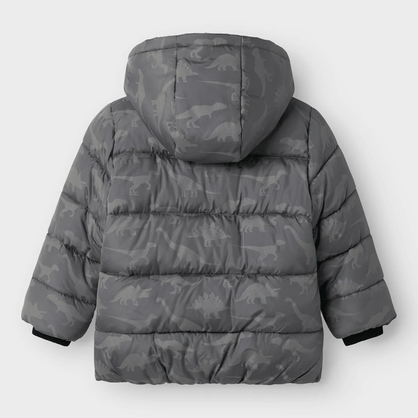 Winterjacke Dinos