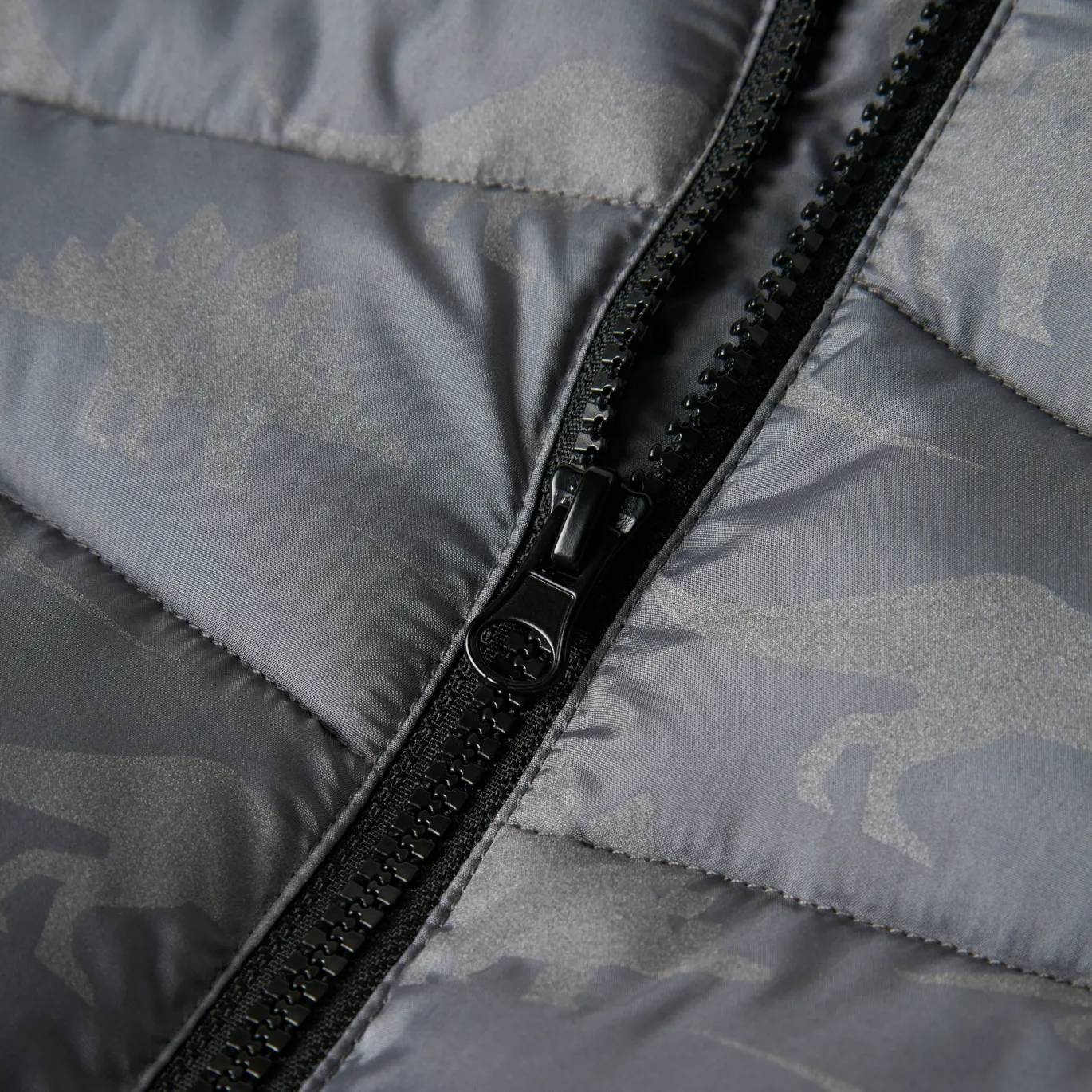 Winterjacke Dinos